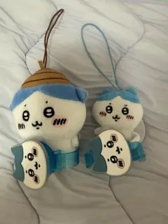 ハチワレ セット