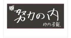 ★新品・未使用★楽天イーグルス 内星龍 手書きオリジナルタオル