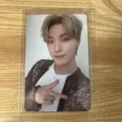 seventeen ディノ　シーグリ