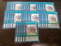 遊戯王 パーツ 35枚 アロマガーデニング