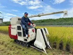 玄米 兵庫播州れんげ米 きぬむすめ 7年産 極1等米20Kg 農直送料無料