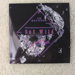 【入手困難】TM NETWORK/Get Wild 2015