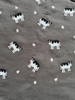 刺繍うしさん柄の貴重な生地