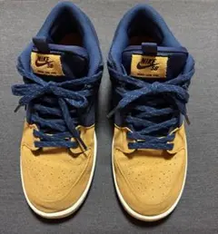 nike sb dunk low スニーカー