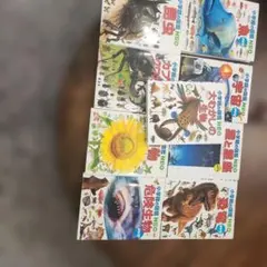 小学館の図鑑NEO 9冊セット まとめ売り - メルカリ
