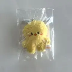 StrayKids 5'CLOCK フィリックス ポガリ マイクロキーリング