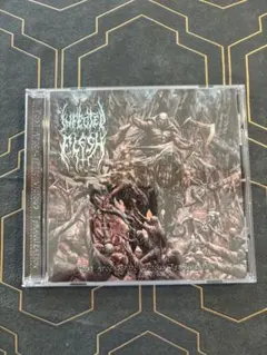 Infected Flesh / Post-Apocalyptic