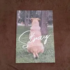 映画 ストレイ 犬が見た世界 パンフレット