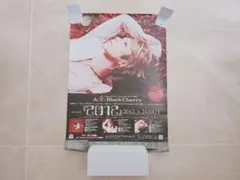 Acid Black Cherry 2012ポスター