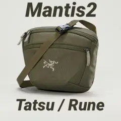 2026年最新】マンティス runeの人気アイテム - メルカリ