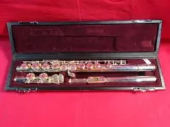 2025年最新】ヤマハフルートケースの人気アイテム - メルカリ