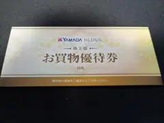 最新 株主優待 ヤマダ電機 お買物優待券 5000円分 ヤマダホールディングス
