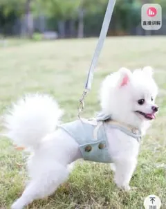 おしゃれ かわいい メッシュ ベストハーネス リードセット ペット 猫用 胴輪