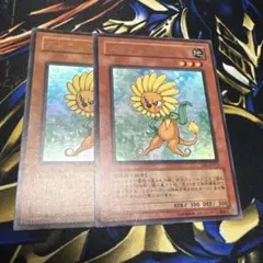 ダンディライオン