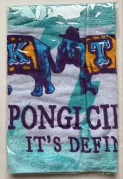 Item thumbnail for item 8f206a07-15e4-44ef-a09e-9ae2bd93d799