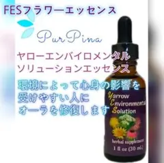 ご購入前コメント必須】アトラクション サンズアイ ミスティック