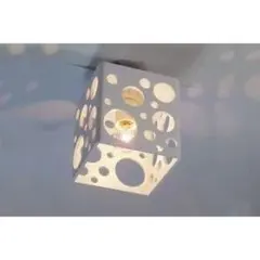 Flames バードケージ ホワイト DC-012-1W シーリングライト日本製