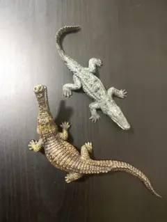 ワニ　フィギュア　2体セット　約12cm&15cm