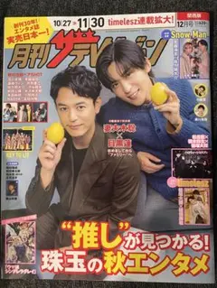 月刊ザテレビジョン 12月号 SnowMan 目黒蓮 timelesz