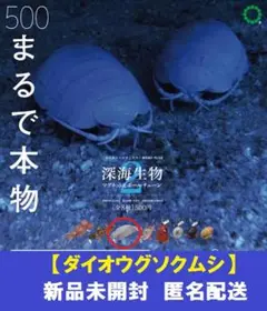 ネイチャーテクニカラー