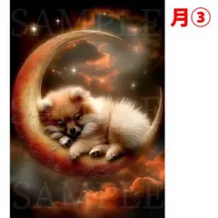 ころろん様 オーダー制作 ポメラニアン A5サイズ　2枚セット 絵画