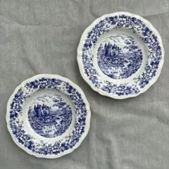 サルグミンヌ　深皿　2枚セット サルグミンヌ ゼラニウムシリーズ 深皿 フランスアンティーク