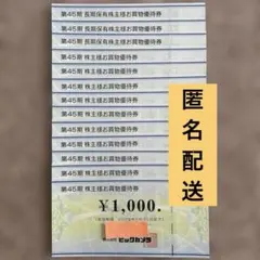 ビックカメラ株主優待券 13000円分