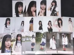 櫻坂46 稲熊ひな 生写真 まとめ売り