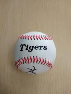 2025年最新】サイン tigerの人気アイテム - メルカリ