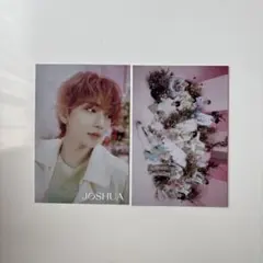 SEVENTEEN ジョシュア museum ポストカード