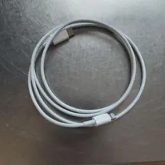 USB-C to Lightning ケーブル 約1メートル グレー