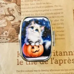 P781 ハンドメイド ピルケース 薬箱 小物入れ　シャム猫　猫　ハロウィン