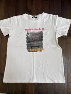 良品 グリーニノウチ gree ninouti 半袖Tシャツ 15号のサムネイル