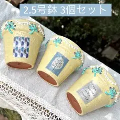 ꕤ︎︎リメイク鉢 4個セットꕤ︎︎㉑ - メルカリ