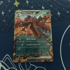 ワルビアルex ジムプロモ