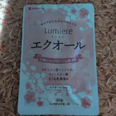 Item thumbnail for item 6d3d410c-0428-477c-8a69-10e7bc1be24d