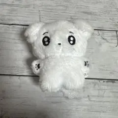 2026年最新】ドギョム ぬいぐるみの人気アイテム - メルカリ