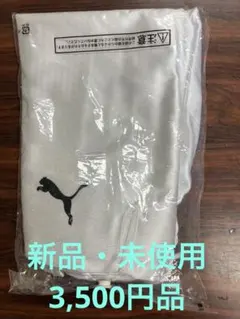 Item thumbnail for item d3367903-fb6f-4cef-83ba-9be82780635c