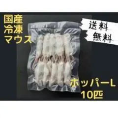 국내산 냉동 마우스 호퍼 L10마리 (일부지역 무료배송 불가)