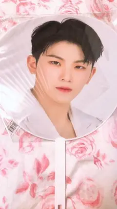 SEVENTEEN SVT 2020 うちわ　ウジ