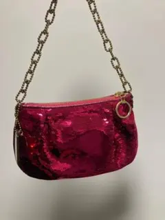 コーチ スパンコール パーティーバッグ アクセサリーポーチ