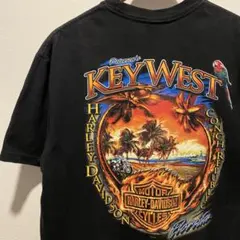 THE HARVEST TIME 1st Tシャツ　ハーレーエンジン THE HARVEST TIME 1st Tシャツ ハーレーエンジン - メルカリ