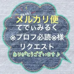 てでぃみるく※プロフ必読※様 リクエスト 4点 まとめ商品