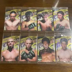 RIZINウエハース24 カードセット