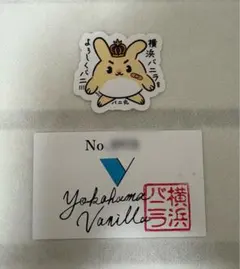 横浜バニラ　整理券、バニ丸ステッカー、うちわ