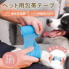 Item thumbnail for item 0ae220ee-56e6-402f-942d-a80c615cd885