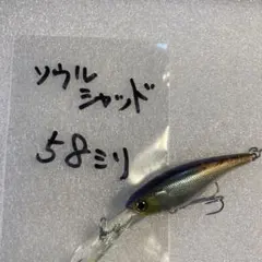 ❤️バス釣りBASSフィッシング 爆釣ルアー大量出品 - メルカリ