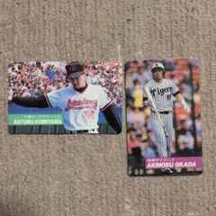 Item thumbnail for item 006c05a0-fb5e-4a1e-9a62-53e46bdbe552