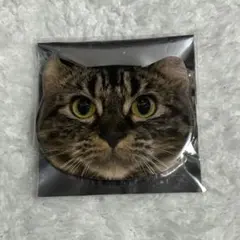 2026年最新】猫カフェmocha 缶バッジの人気アイテム - メルカリ