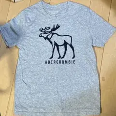 abercrombie kids Tシャツ グレー 11/12